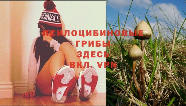 героин Магас