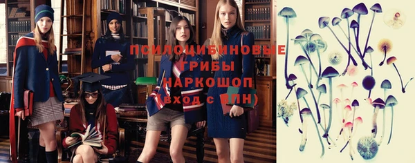 дурь Майский
